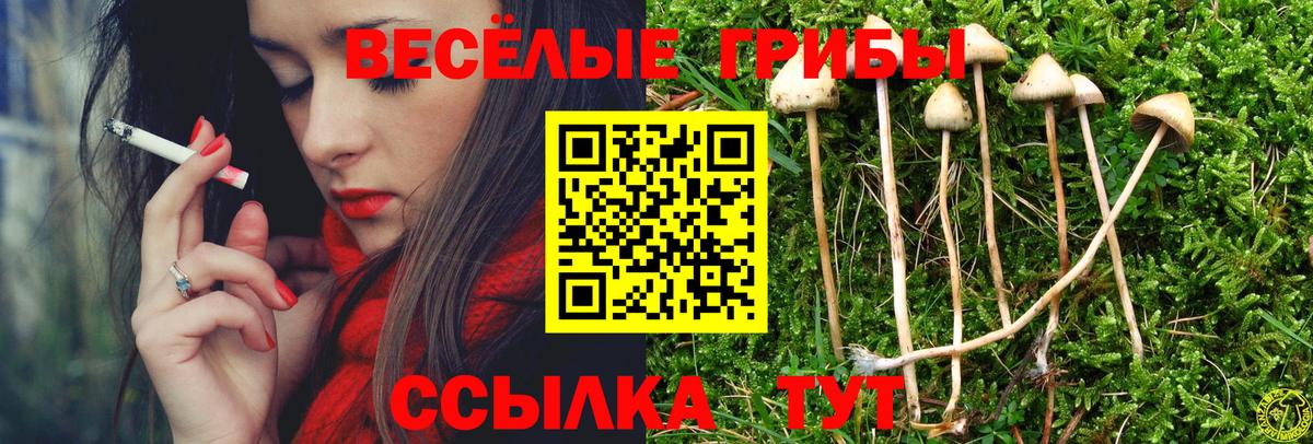 Галлюциногенные грибы прущие грибы Арзамас