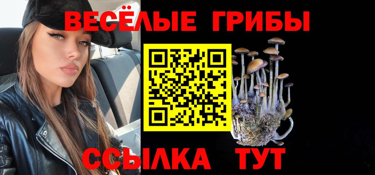Арзамас  Псилоцибиновые грибы мицелий  Вход с VPN 