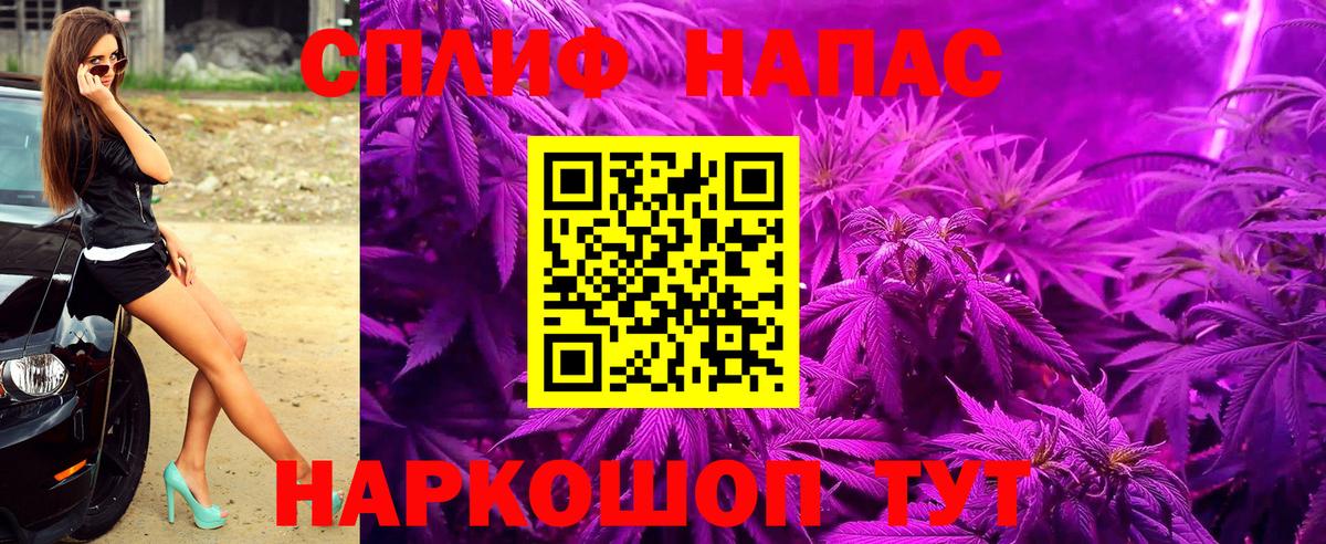 Каннабис планчик Арзамас